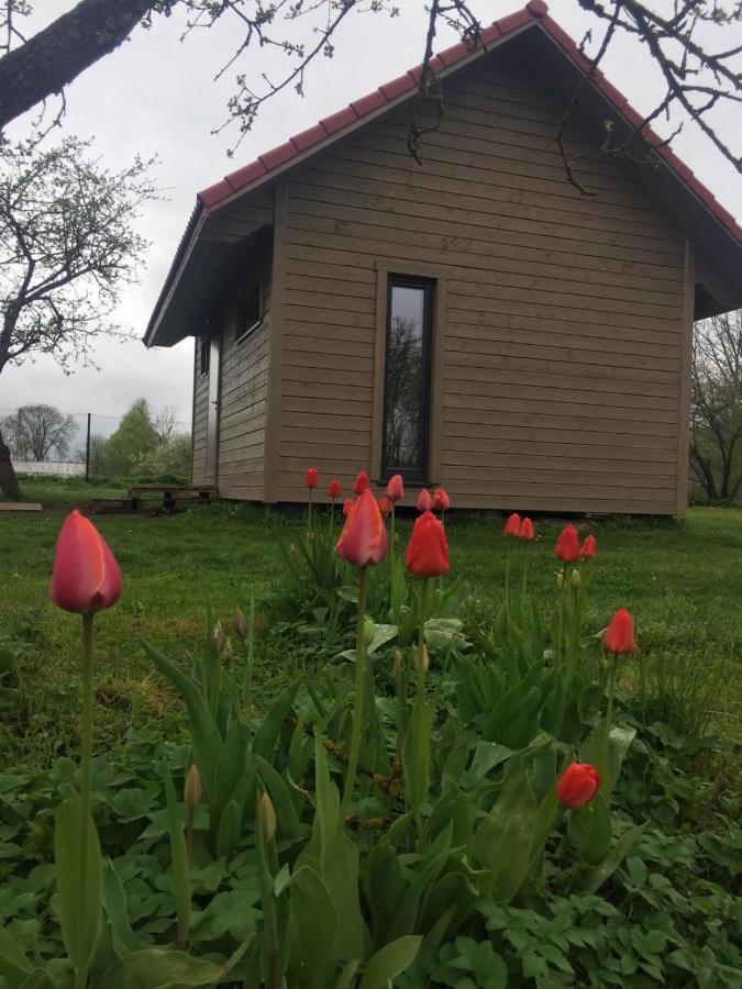 Holiday House Ausekla Namins Cēsis Εξωτερικό φωτογραφία