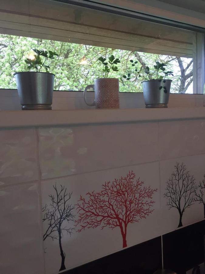 Holiday House Ausekla Namins Cēsis Εξωτερικό φωτογραφία